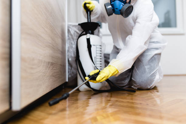 Best Best Pest Control Companies  in Corning, IA