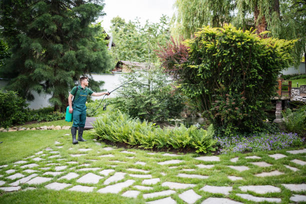 Best Affordable Pest Control Services  in Corning, IA