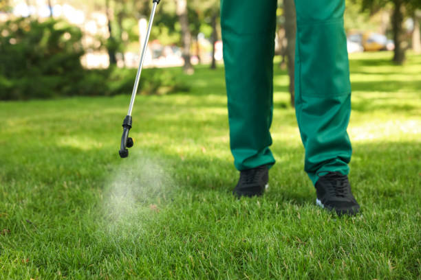 Best Affordable Pest Control Services  in Corning, IA