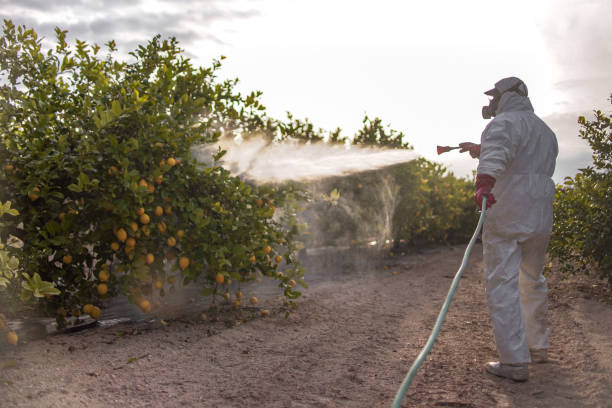 Reliable Corning, IA Pest Control Solutions