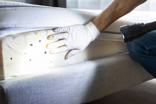 Best Wildlife Control Services  in Corning, IA