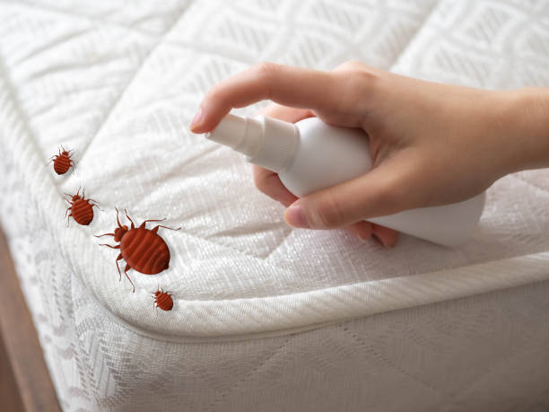 Best Best Pest Control Companies  in Corning, IA