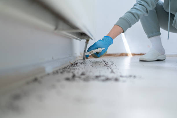 Best Emergency Pest Control  in Corning, IA