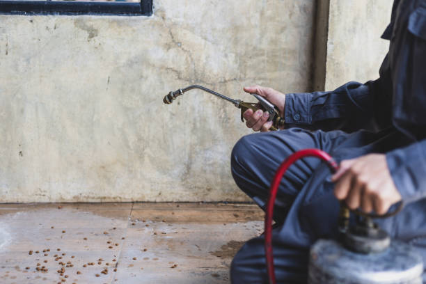 Best Local Pest Control Services  in Corning, IA