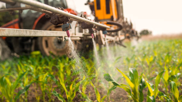 Best Pest Removal Services  in Corning, IA