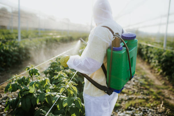 Best Emergency Pest Control  in Corning, IA